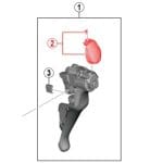 Shimano Ốc tay lắc ST-R8000 Y0DK98030/Y0DL98020 - Ảnh 4